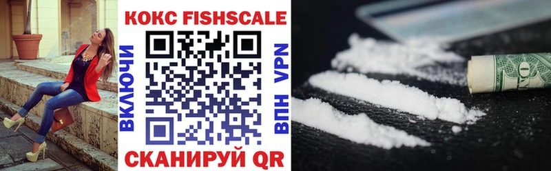 Кокаин FishScale  купить наркотики цена  Любим 
