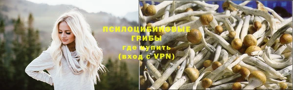 ECSTASY Рославль