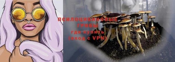 прущая мука Алзамай