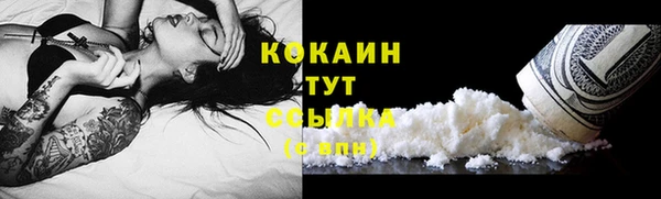 прущий лед Алексин