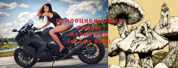 прущая мука Алзамай